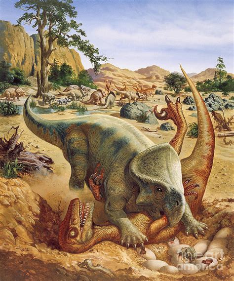 Late Cretaceous Landscape