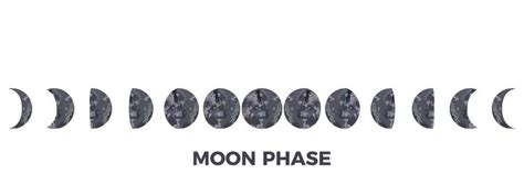 Moon phase textured surface of the lunar Vector Image