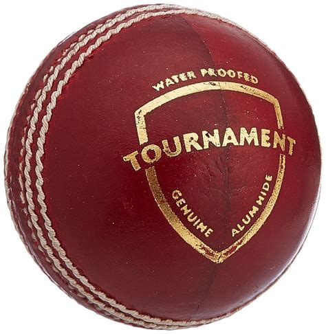 SG Tournament Red Leather Cricket Ball – StarSportsUS