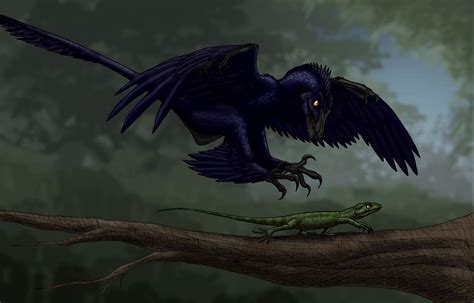 Microraptor Size