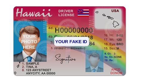 Your Fake ID Templates