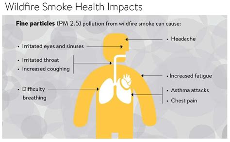 Cross-Border Smoky Threats: Health Impacts of Canadian Wildfire Smoke on New Jersey Residents ...