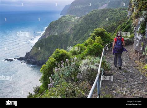 Portugal, Madeira island, north coast, hiking from Boaventura to Arco de Sao Jorge on an old ...