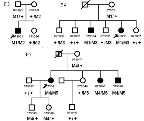 Molecular Vision: Dai, Mol Vis 2008; 14:2067-2075. Figure 1