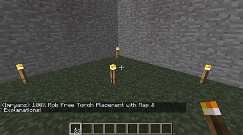 100% Mob Free Torch Placement