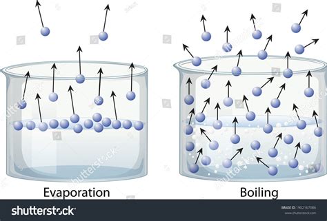 Vaporization | Types, Examples and Factors affecting the Rate of Vaporization