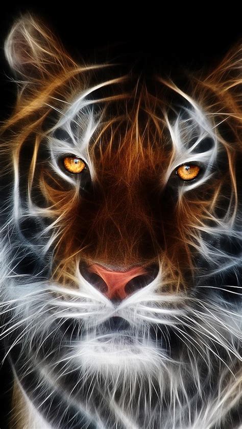 Cool Colorful Animal Wallpapers - Top Free Cool Colorful Animal Backgrounds - WallpaperAccess