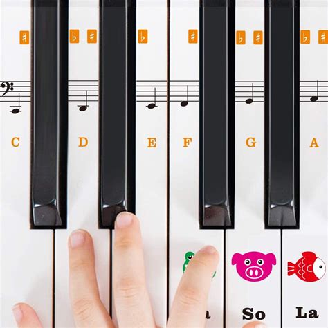 LEKATO Piano Stickers for Learning Piano or Keyboard -Transparent 37/49 ...