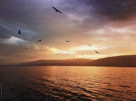 «The Most Perfect Sunset On The Sea Of Galilee» del colaborador de ...