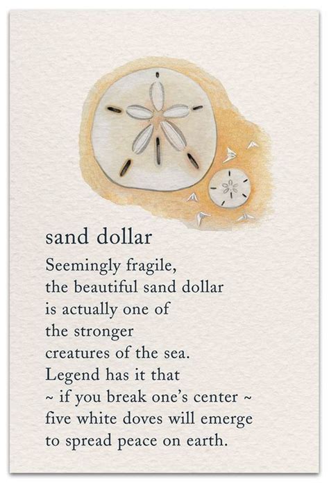 the legend of the sand dollar | Symbols and meanings, Meaning of life ...