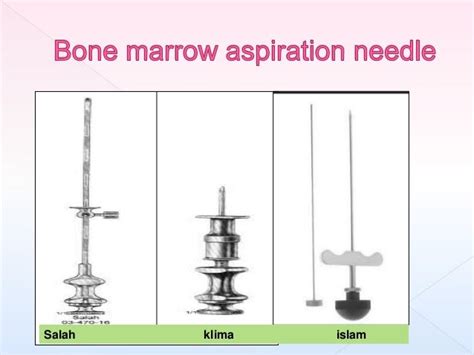 processing of bone marrow trephine biopsy