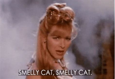 Smelly cat! Smelly cat! | Friends phoebe, Smelly cat, Phoebe buffay