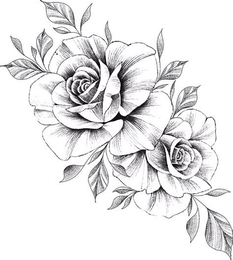 Images By Tanja Regez On 玫瑰 B81 | Rose drawing tattoo, Vintage flower ...