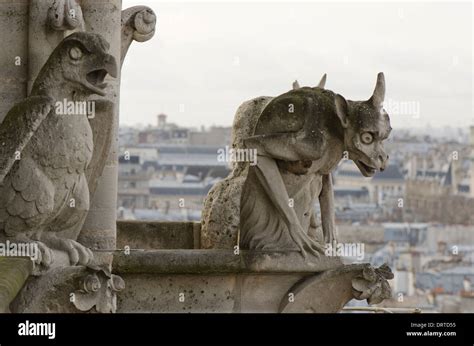 Gargoyles on the western facade of the Notre-Dame Cathedral in fourth ...