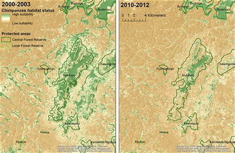 Using the Power of the Cloud to Map Chimpanzee Habitat Connectivity