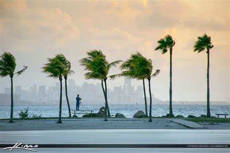 Sunrise at Matheson Hammock Park in Coral Gables Coconut Trees | HDR Photography by Captain Kimo