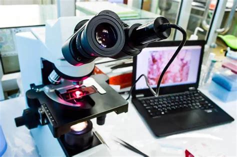 8 Best Microscope Cameras Reviews 2024 | Capture & Record