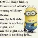 39 Of The Best Minion Memes | The Funny Beaver