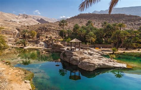 Oman Botanical Garden - News, Views, Reviews, Comments & Analysis on ...