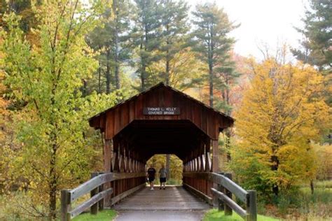 Campground Details - ALLEGANY STATE PARK, NY - New York State Parks