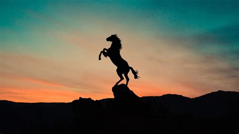 Aesthetic Sunset Horse Wallpapers - Wallpaper Cave