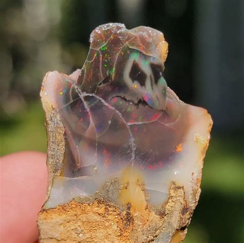 Precious Black Opal Specimen from The Virgin Valley