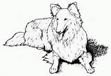 Realistic Dog Coloring Pages  Home sketch template