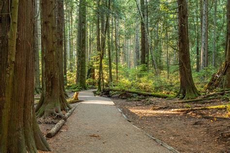 7 Gorgeous Parks in Vancouver, BC, Plus What to Do at Each