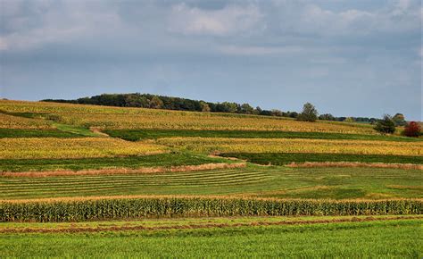 Strip Farming | Flickr - Photo Sharing!