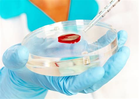 Blood Test stock image. Image of hand, test, blood, analyzing - 10452047