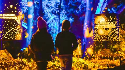 Astra Lumina: A Night Walk Amongst The Stars | Seattle Area Family Fun Calendar | ParentMap