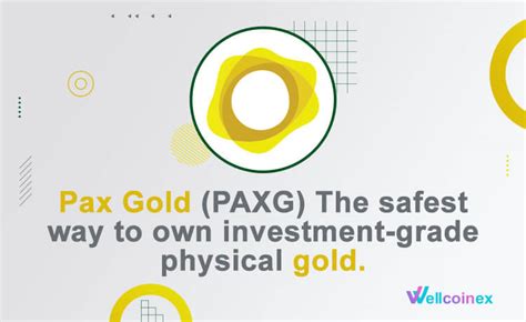 How PAX Gold (PAXG) works - Wellcoinex