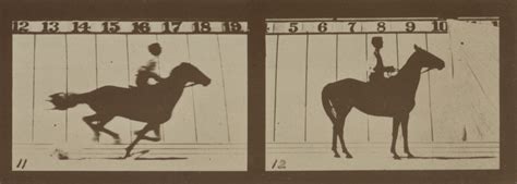 Smarthistory – Eadweard Muybridge, The Horse in Motion