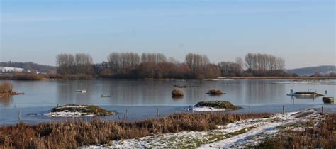 Rutland Water Nature Reserve - Discover Rutland