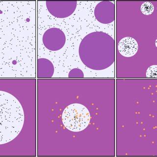 Schematic illustration of different stages of the phase transition and... | Download Scientific ...