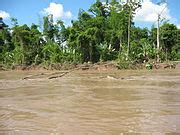 Category:Apure River - Wikimedia Commons