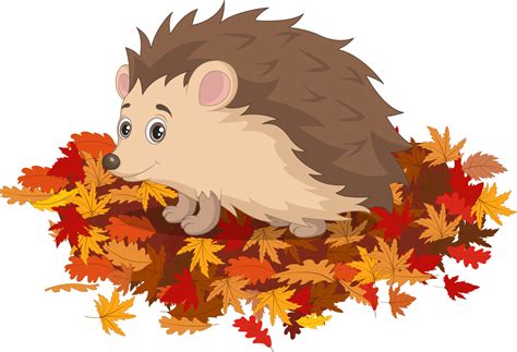 Cute hedgehog cartoon on autumn leaves 4991814 Vector Art at Vecteezy