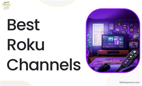 43+ Best Roku Channels (Free & Paid) 2024