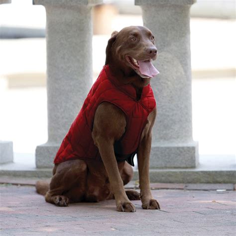 15 Stylish Dog Jackets Your Pup Can Rock This Fall