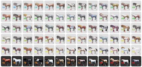 BDO Horse Breeding Advanced: Coats & Color Theory | GrumpyG