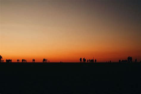 HD wallpaper: silhouette of people standing across sunset, silhouette photo of people walking ...