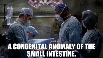 YARN | a congenital anomaly of the small intestine. | Grey's Anatomy (2005) - S15E20 The Whole ...