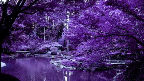Purple Japanese Wallpapers - Top Free Purple Japanese Backgrounds - WallpaperAccess
