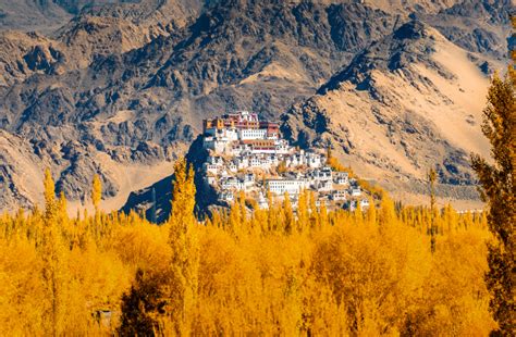 The Thiksey Monastery: Your Best Travel Guide to Serene Spiritual Bliss