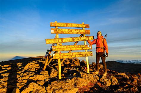 Kilimanjaro Sunrise Stock Photos, Pictures & Royalty-Free Images - iStock