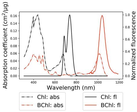 Fluorescence (f (λ): solid curves) and photoabsorption (σ(λ): dashed... | Download Scientific ...