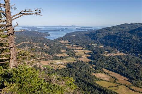 Hiking to Baynes Peak in Salt Spring Island, Canada – Hiking Is Good