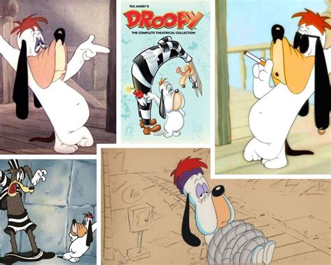 Droopy Dog: The Classic Cartoon Hound