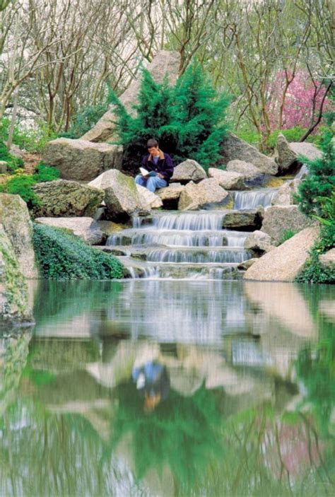 Hermann Park Japanese Garden Day June 19 - Houston Chronicle