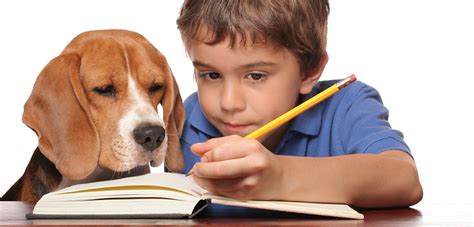 Are Your Kids Heading Back to School? Read our Pet Safety Tips | ASPCA